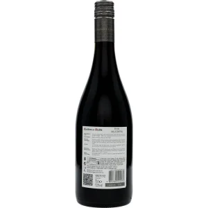 Casillero del Diablo Shiraz 13,5 %