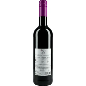 Campo de Chile Merlot 13 %