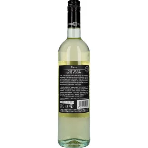 Canapi Pinot Grigio 12,5 %