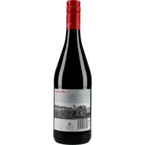 Torres Sangre de Toro 13,5 %