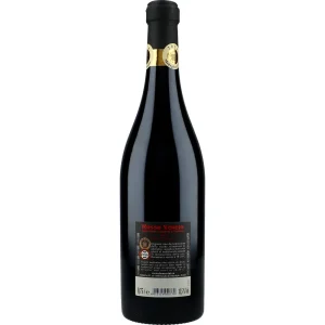 Novecento23 Rosso Veneto 13,5 %