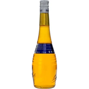 Bols Mango 17 %