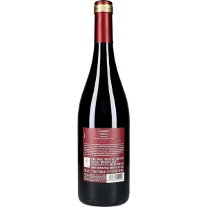 Castelforte Corvina Veronese 13,5 %